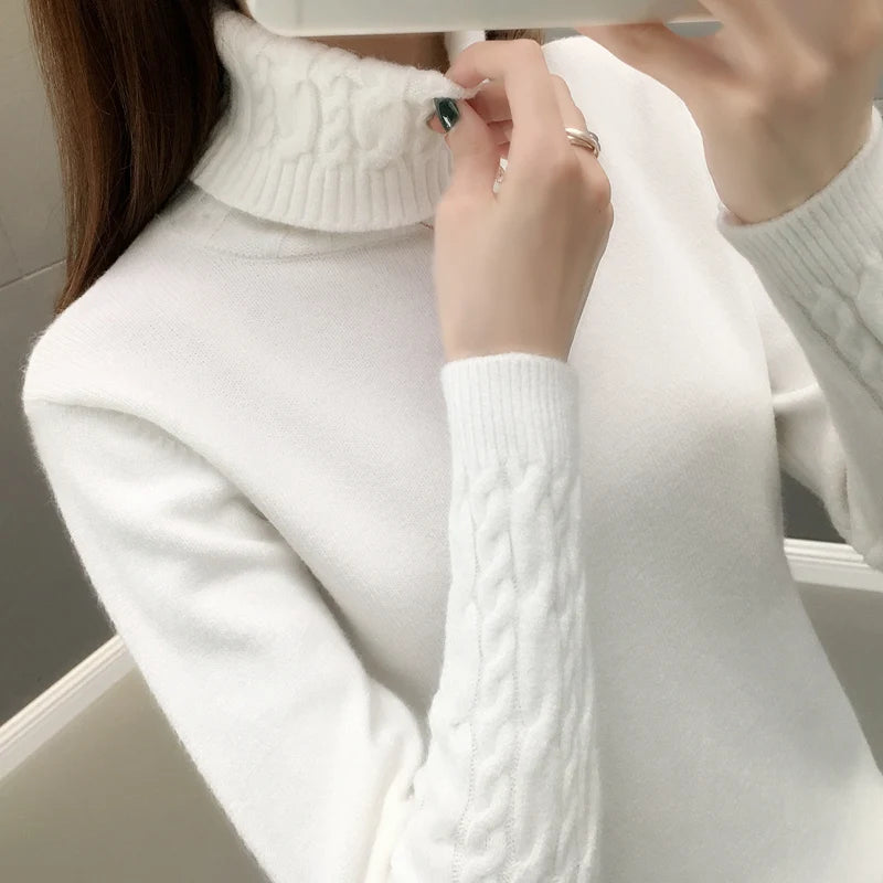 Saashi Thick Warm Turtleneck Sweater
