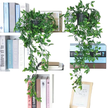 Saashi Artificial Ivy Hanging Plants (Indoor/Outdoor Decor)