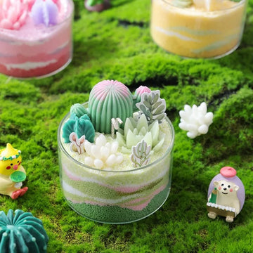 Saashi Succulent DIY Scented Candle